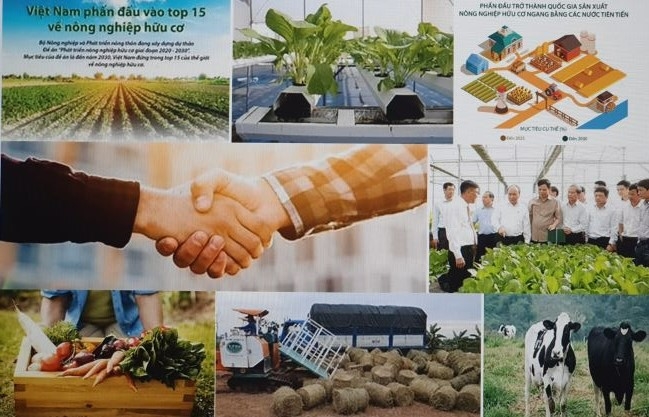 Dự án Phát triển Nông nghiệp Hữu cơ