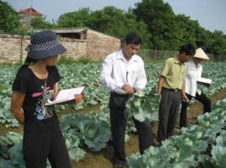 Mô tả công việc của Quản lý chứng nhận