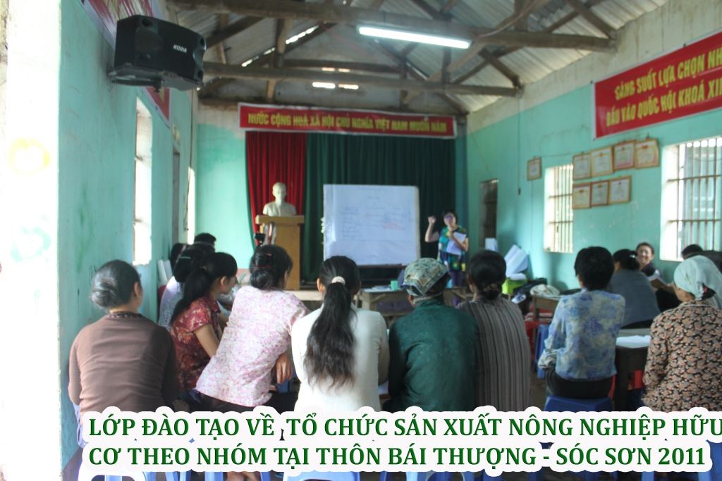 Đào tạo — ảnh 4 — PGS Việt Nam