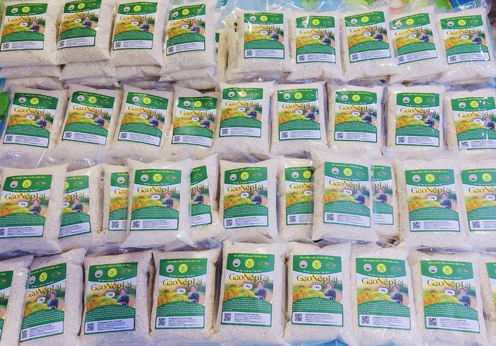 Bắc Kạn – Phát triển NNHC bền vững áp dụng hệ thống đảm bảo chất lượng sản phẩm có sự tham gia (PGS)