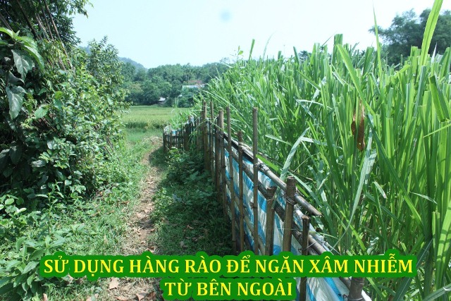 Sản xuất hữu cơ — ảnh 3 — PGS Việt Nam