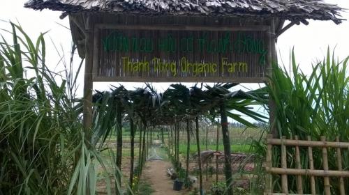 Phát triển PGS tại Hội An