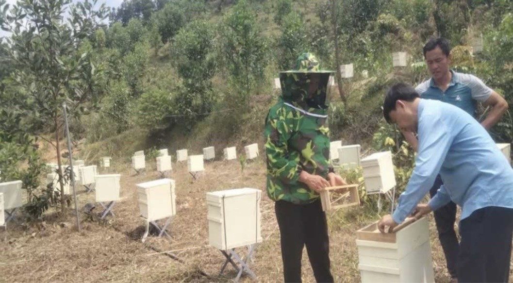 Hướng dẫn kỹ thuật lắp đặt thùng nuôi ong cho các hộ dân.