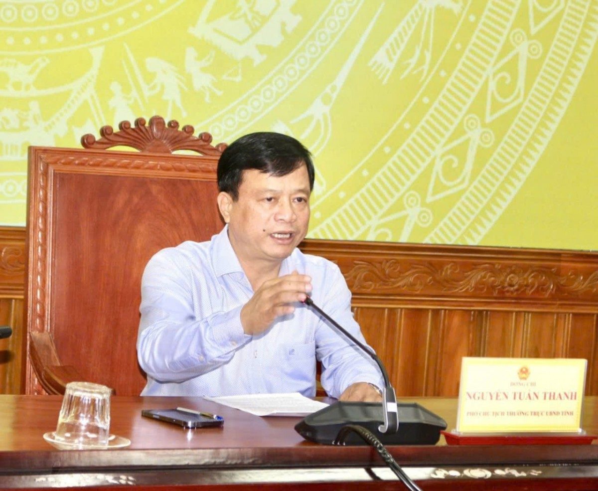 Ông Nguyễn Tuấn Thanh Phó Chủ tịch Thường trực UBND tỉnh Gia Lai phát biểu kết luận.