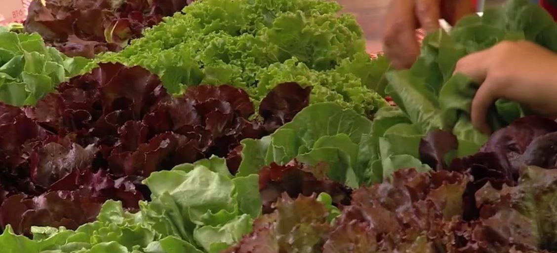 Cyclospora thường lây truyền qua thực phẩm hoặc nước bị nhiễm phân người, rau quả tươi cũng có thể bị nhiễm trong quá trình sản xuất nếu đất hoặc nguồn nước sử dụng trong canh tác bị ô nhiễm