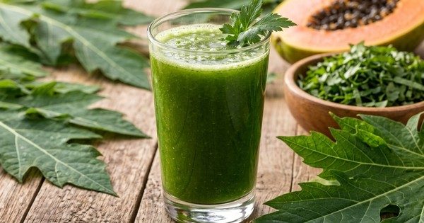 Nước lá đu đủ và những nguy cơ tiềm ẩn đối với sức khỏe