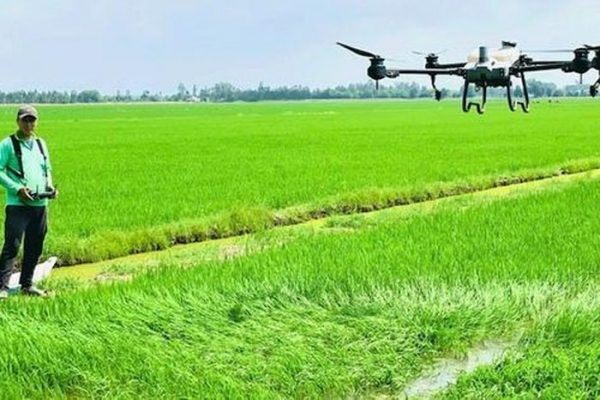 Những hoạt chất thuốc bảo vệ thực vật sắp bị cấm sử dụng tại Việt Nam?