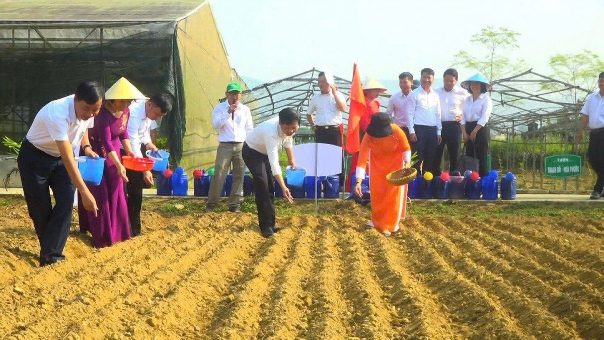 Các đại biểu hào hứng tham gia hoạt động xuống giống đầu năm.