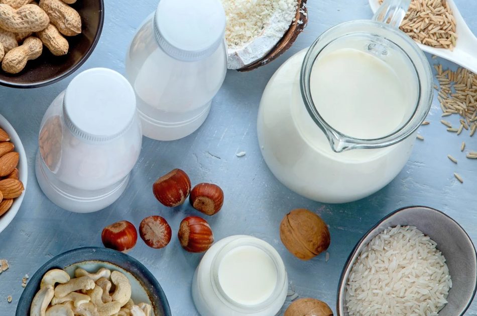 Nhu cầu đối với đồ uống có nguồn gốc thực vật đang gia tăng tại nhiều thị trường, kéo theo sự mở rộng của vùng nguyên liệu đậu nành, yến mạch, hạnh nhân và một số loại hạt khác