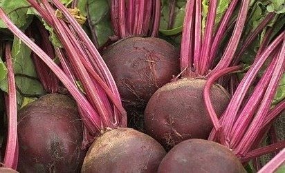 Củ dền hỗ trợ thải độc gan nhưng người bị huyết áp thấp không nên sử dụng